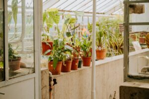 grow room